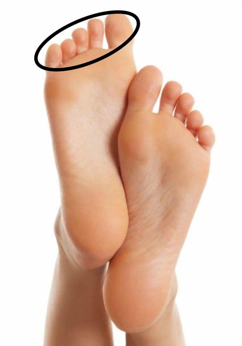 תמונה מתארת הסבר על נוחות של אצבעות של כף הרגל, נוגעות בתוך נעלי עקב ושוכבות בחופשיות. בחלק הפנימי בתוך נעליים.